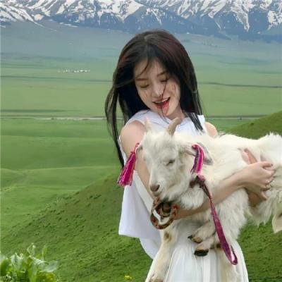 阻婚四姊妹